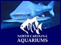 North Carolina Aquarium at Fort Fisher